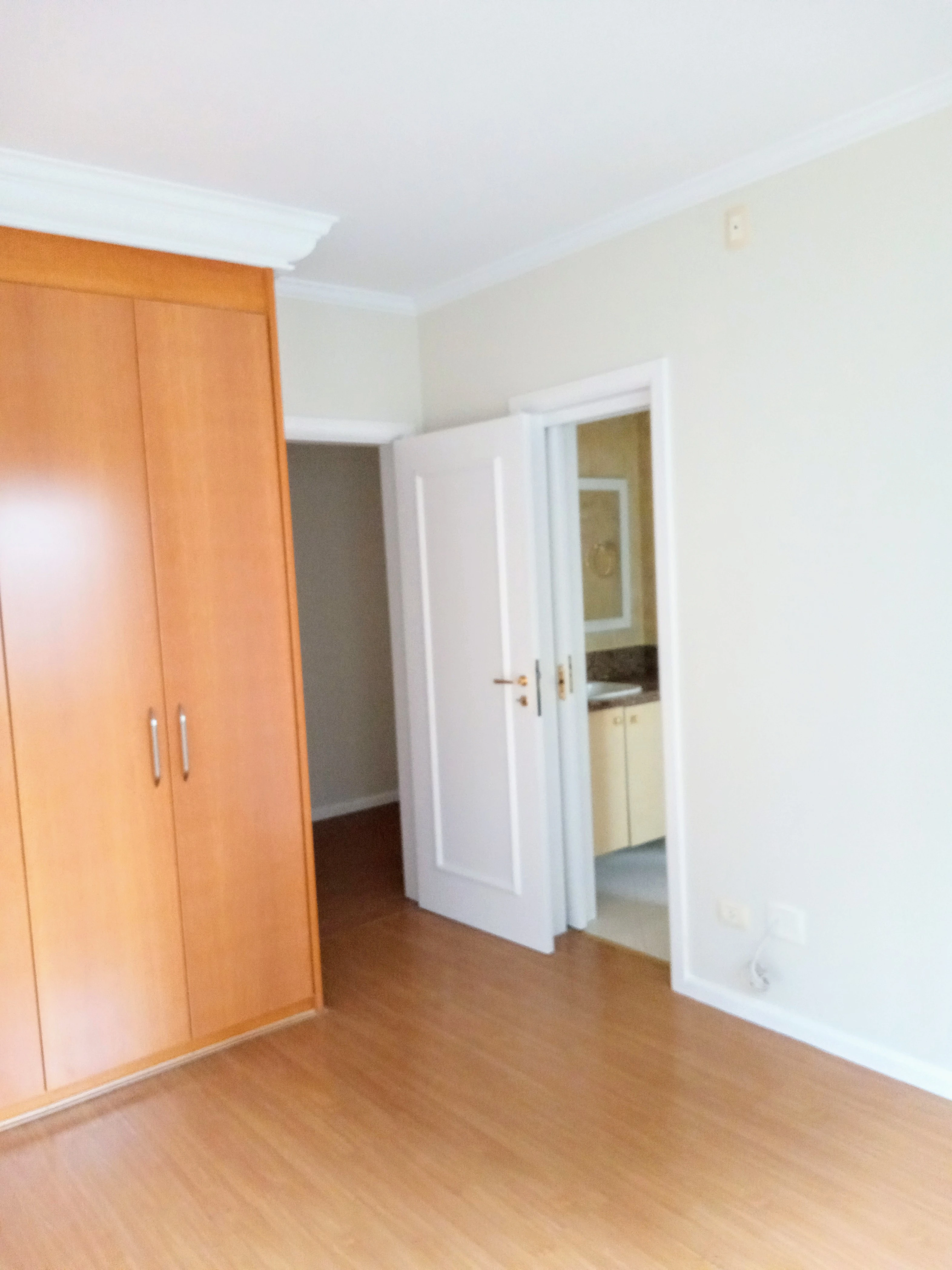 Imagem da galeria 33